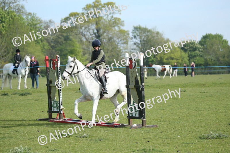20260426-0172 - Class 13 - Rookie Jumping 50cm