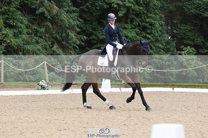 241024-120625-01983 - 056-Claire.Deuten-KILBUNNY.BLUE.BIRD