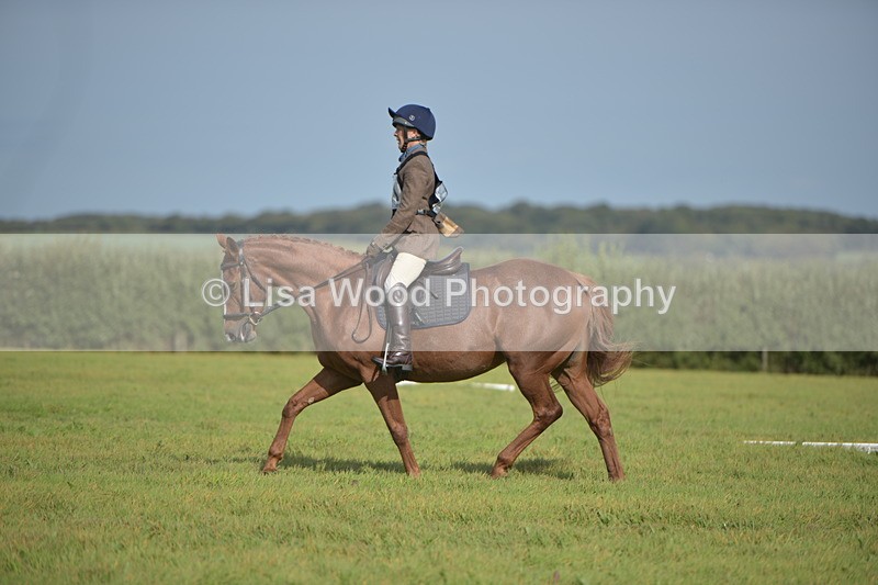 RAY_7840 - Class 2B: Trekenning Open: Dressage