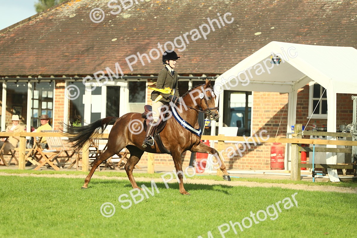SBM_52337 - Working Hunter Supreme Championship