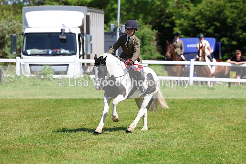 3E7A6789 - Working Hunter Pony Championship