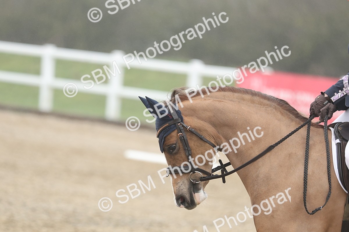 SBM_001007 - Class 13-5 - N2