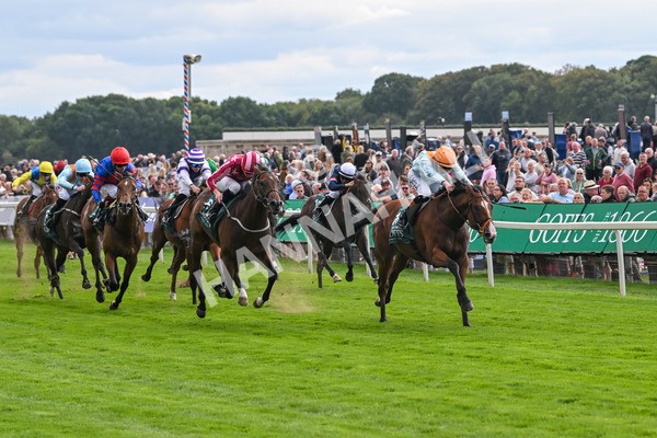 210825-Race 2-Song Of The Clyde-3969 - Race 2 2.25pm Harry's Half Million By Goffs