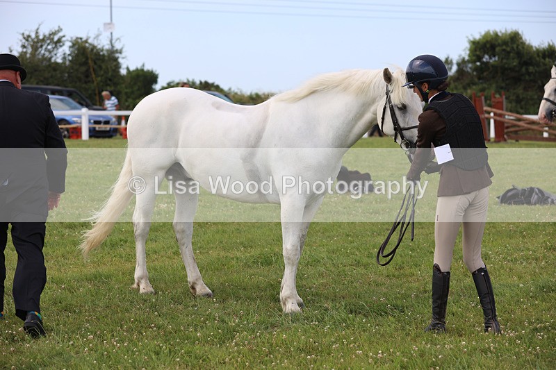 JPP_3914 - Class 23: Working Hunter 80cm