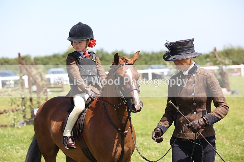 JPP_2284 - Class 20: Tiny Tots Working Hunter Pony