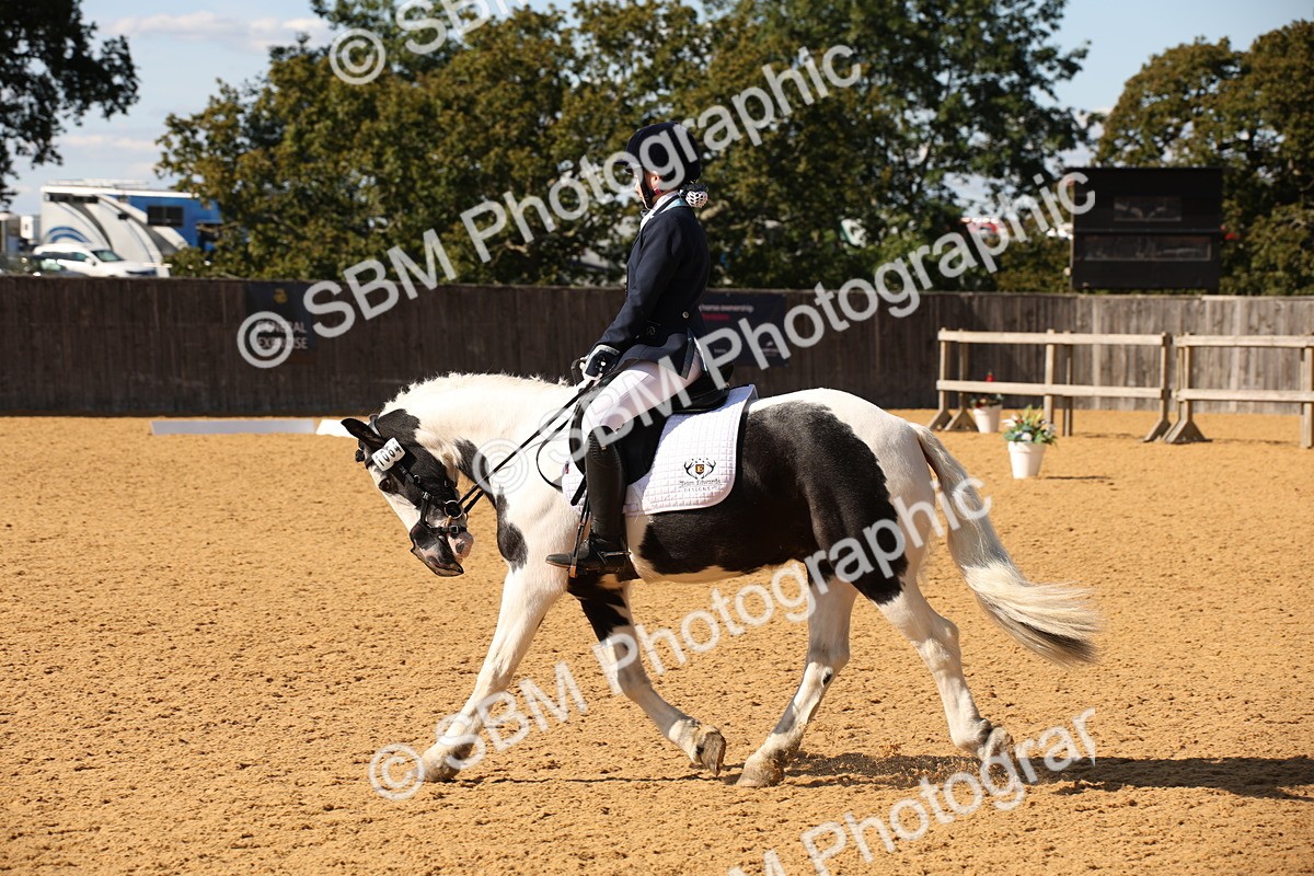 SBM_24275 - D5 - Small Tour Championship - Intro C