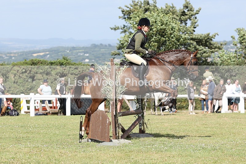 JPP_2547 - Class 20: Working Hunter 70cm