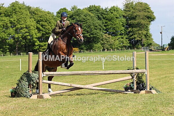 IMG_4696 - Working Hunter