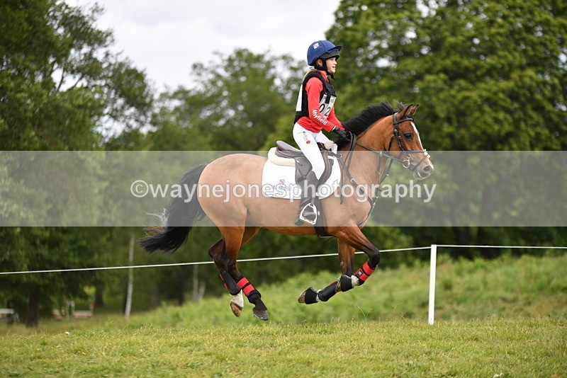 WJ5_6445 - Time 10:28 to 10:48