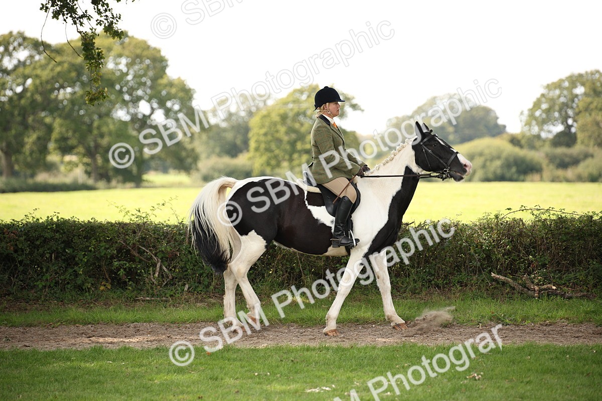 SBM_70059 - S65 - Piebald & Skewbald Horse Ridden
