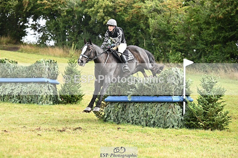 TS_b3017472 - SAT BE 90 Recovered Files fence 8