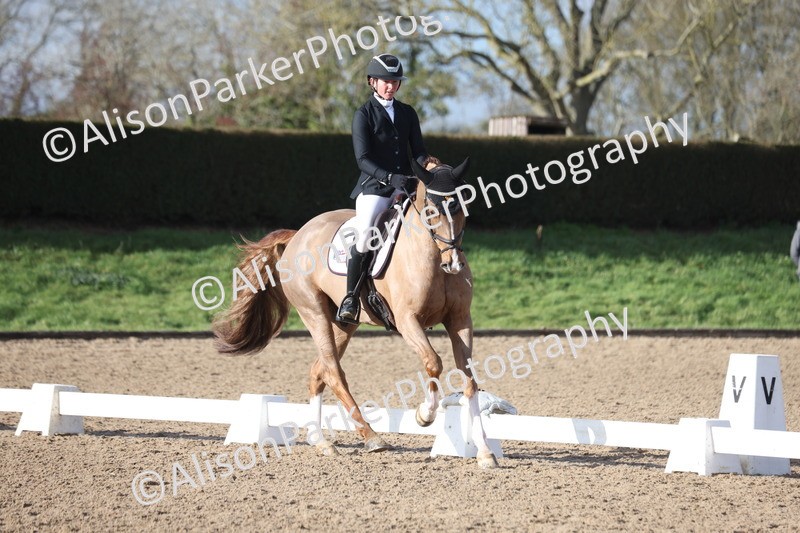 20260128-0473 - Class 4 - Novice 5