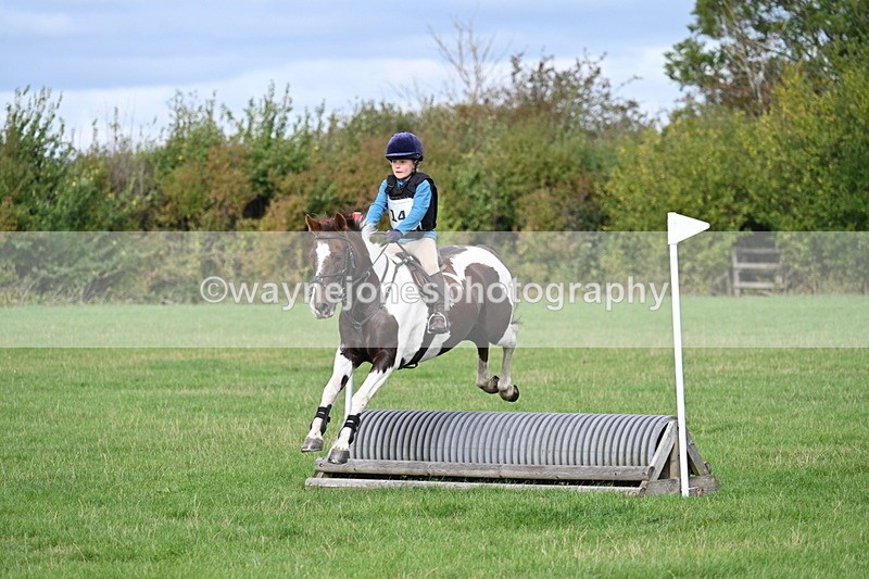 WJ7_8404 - 60cm Pairs