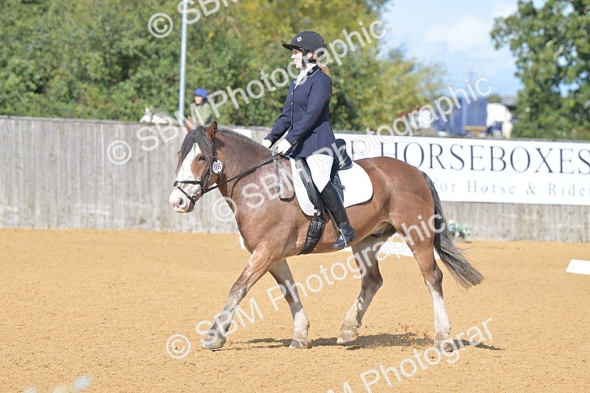 SBM_03900 - D2 - Small Tour Championship Intro 2