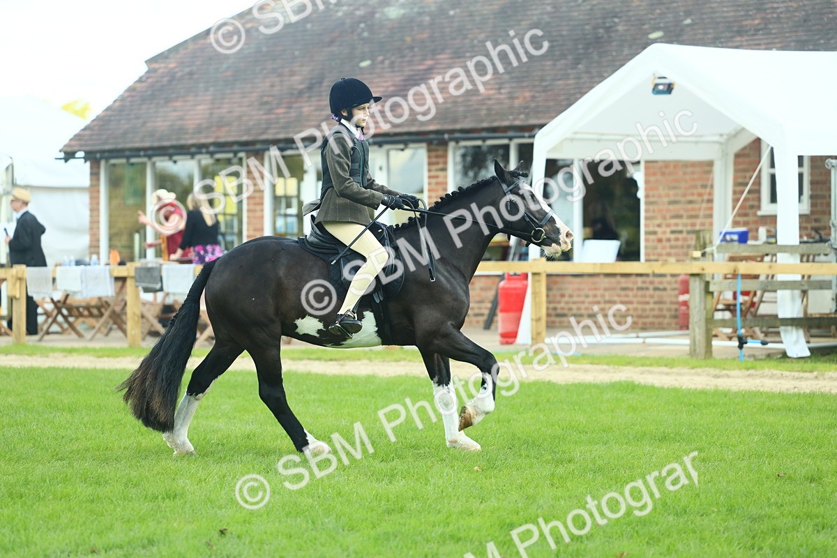 SBM_42011 - S29 - Novice & Newcomers Working Hunter Pony