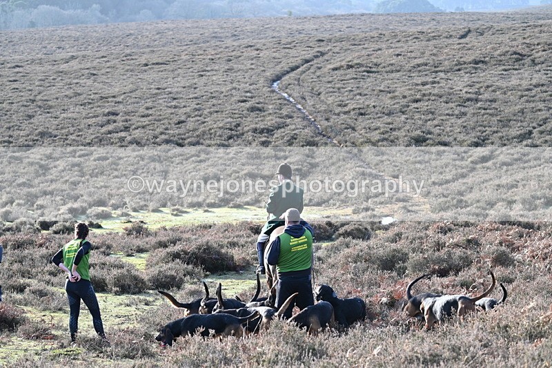 WJ7_8025 - Line 3 (no line 4 or 5)