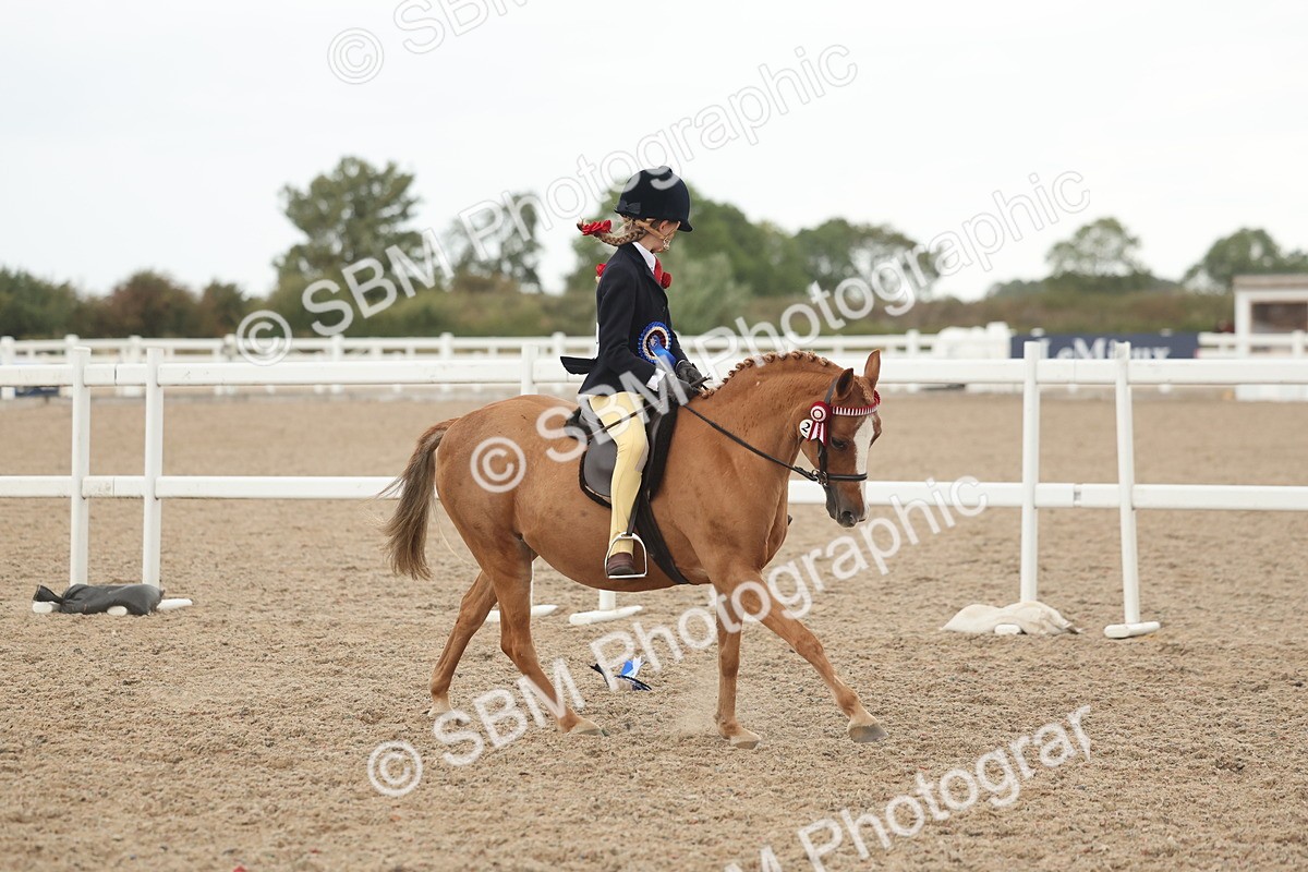 SBM_19213 - Class 316 - Best Pony-Rider Combination