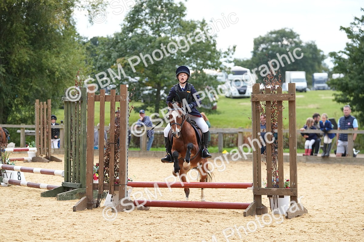 SBM_74746 - J4 - Mini Tour Junior Pony 45cm Championship