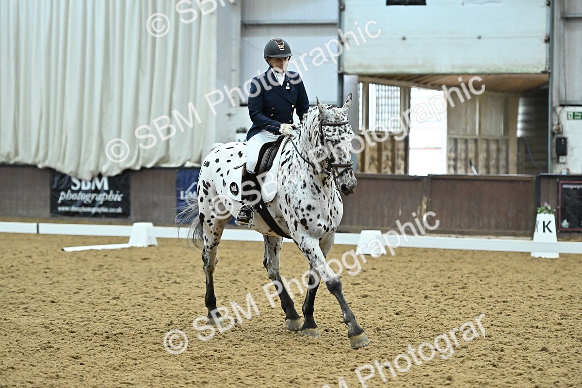 SBM_007496 - Class 81 - Novice 3