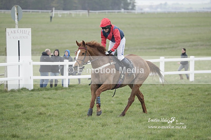 PtP 260323 0604 - New Forest Hounds Point-to-Point Larkhill 26/03/23