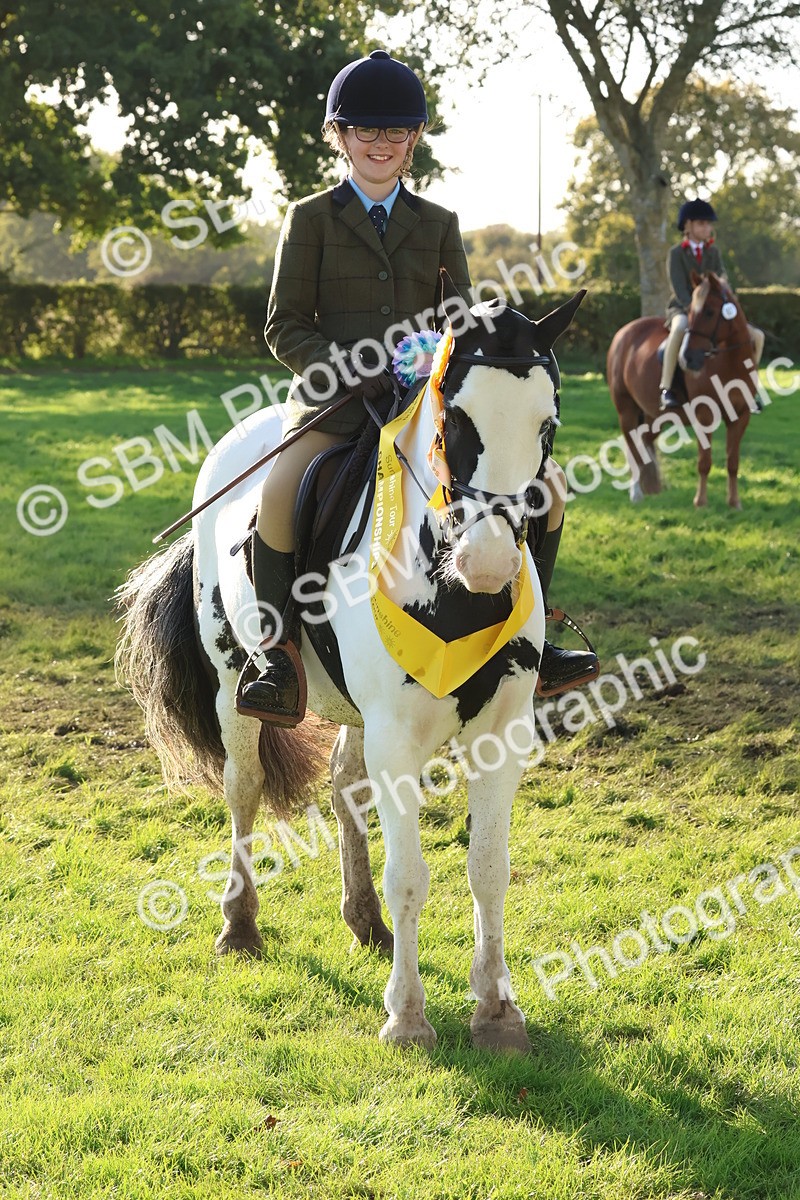 SBM_52669 - S13 - Pony Club Pony