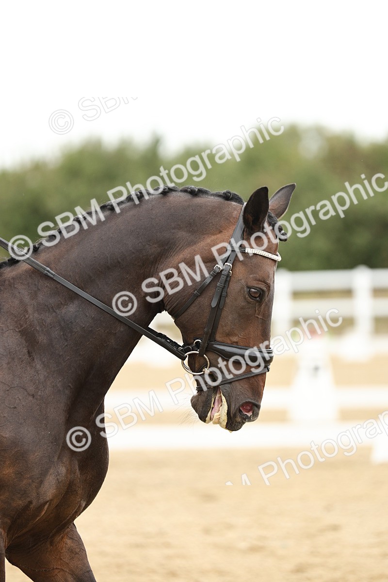 SBM_007160 - Class 25 - FEI PSG Bronze