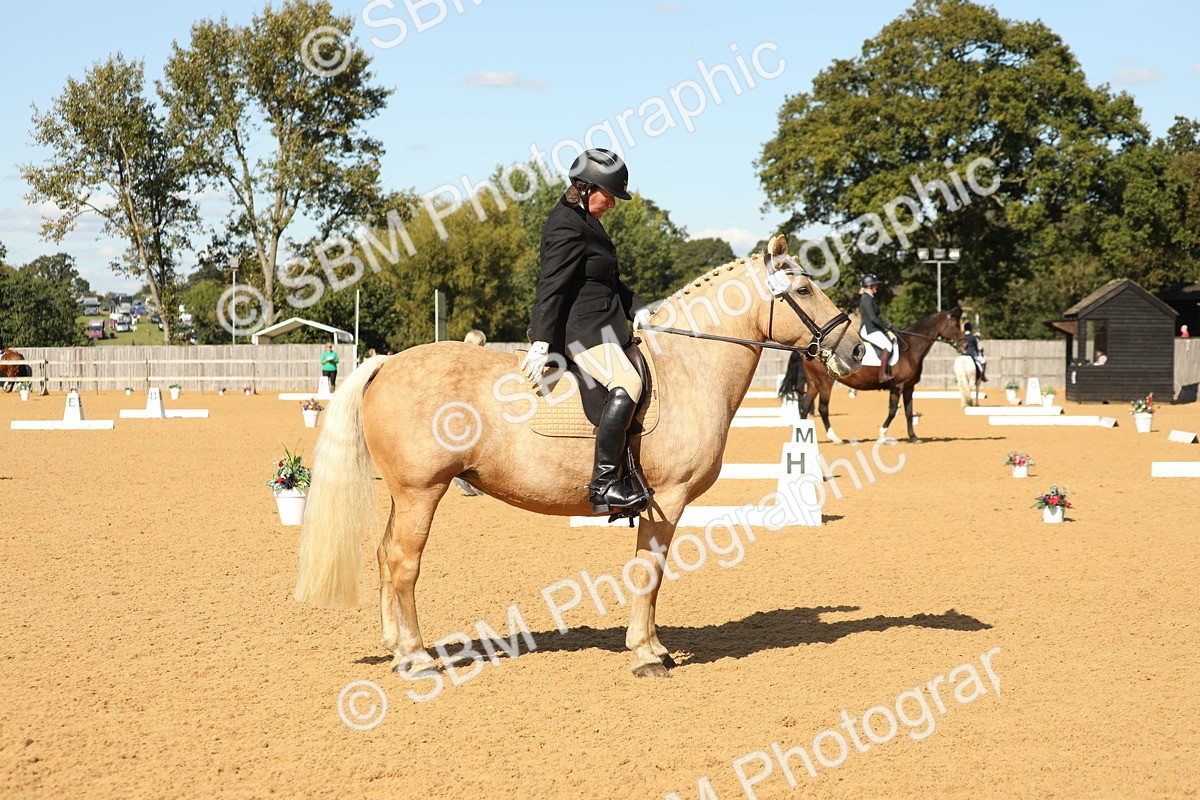 SBM_24597 - D17 - Grand Tour Championship - Novice 27