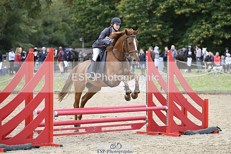 251005A-130121-04003 - Cls 08 Mini 70-75cm