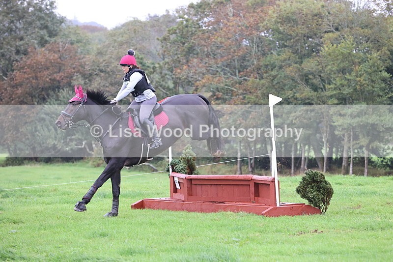 JPP_5251 - Class 2:  70cm: Zig Zag