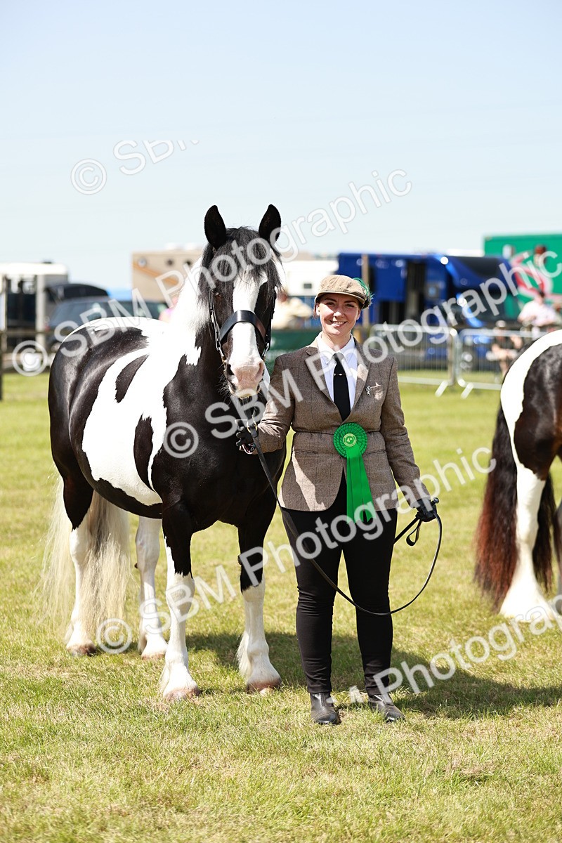 SBM_04271 - Class 39-40 - BSPA Coloured In Hand