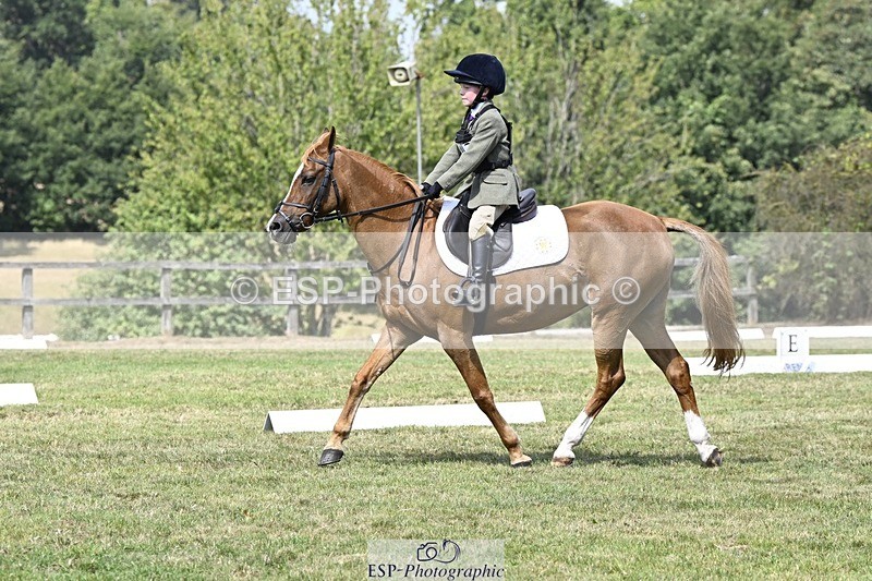 250822A-121213-22623 - DR 11.00 to 12.00