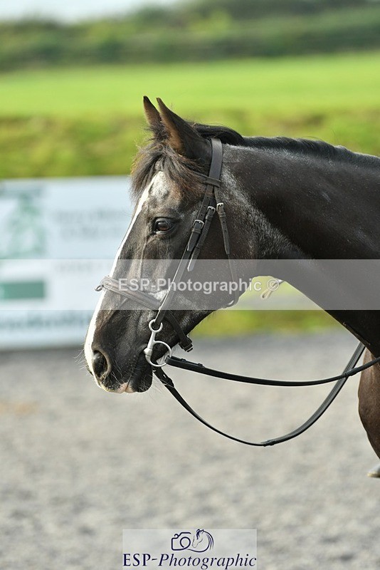 230817-085245-00026 - Theo's 1st Group - Arena