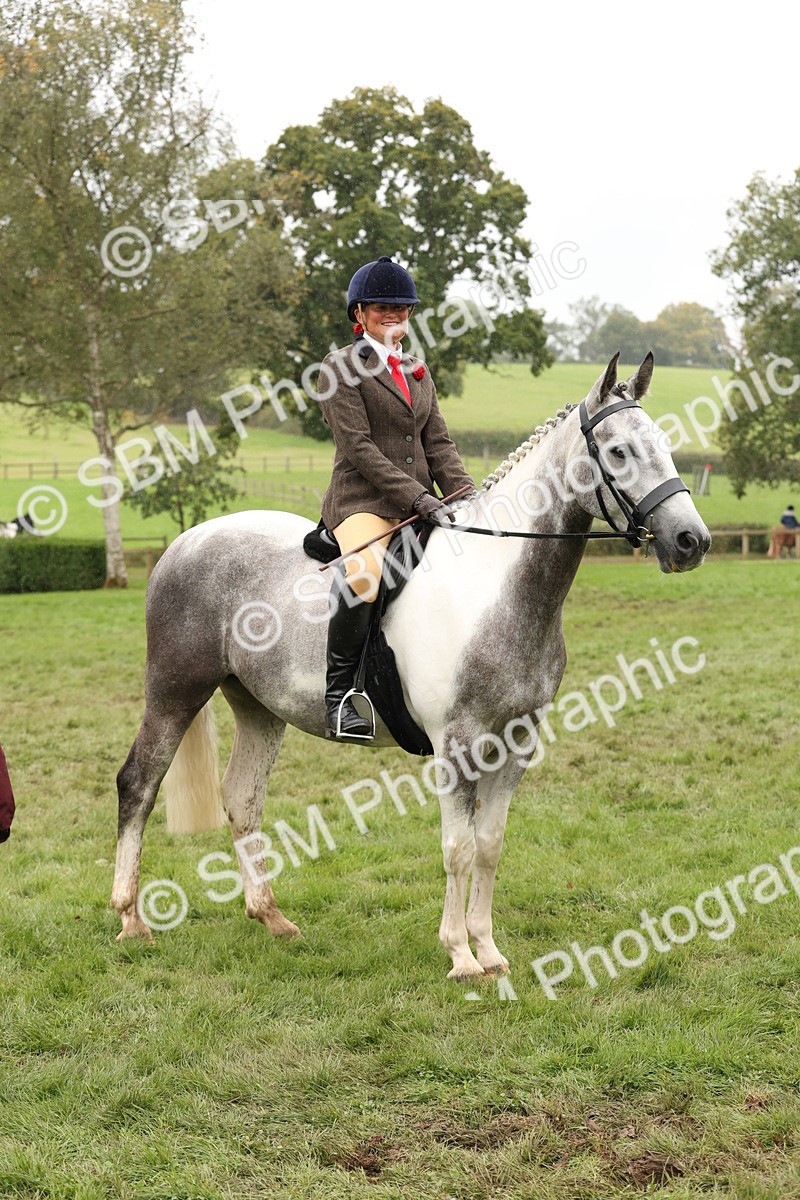 SBM_69901 - S68 - Other Coloured Horse Ridden