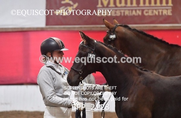 BPP_2128 - AFTERNOON 12.30 - 3.30PM