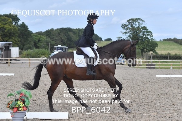 BPP_6042 - NOVICE TEST 4 + 6 LONG ARENA