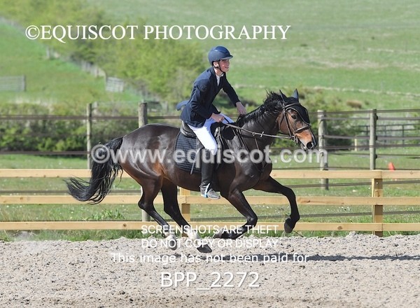 BPP_2272 - CLASS 22 SUN Senior BritiNovice/ 90cm Open