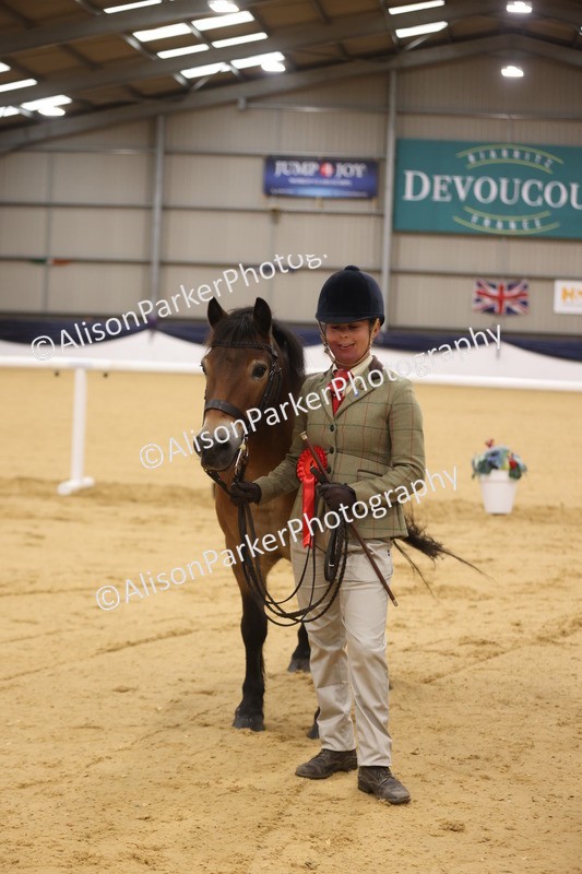 20260913-1063 - Class 109 - Bred On Exmoor In Hand