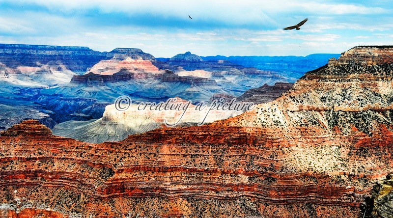 Mather Point - Landscapes