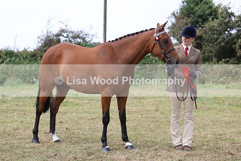 3E7A5619 - Class 20: Sports Horse In Hand