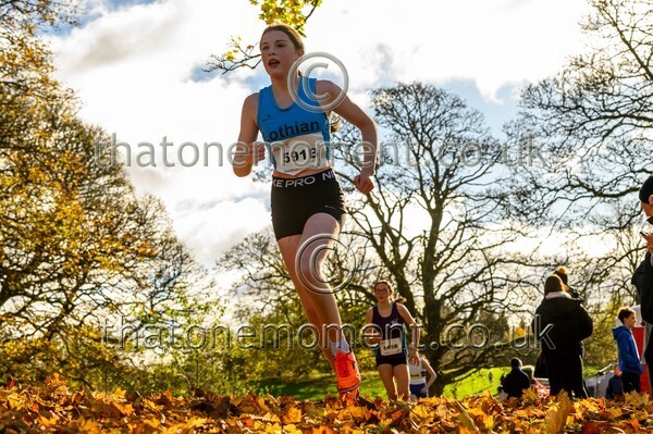 NatRel25-913663 - Young Female Set Two