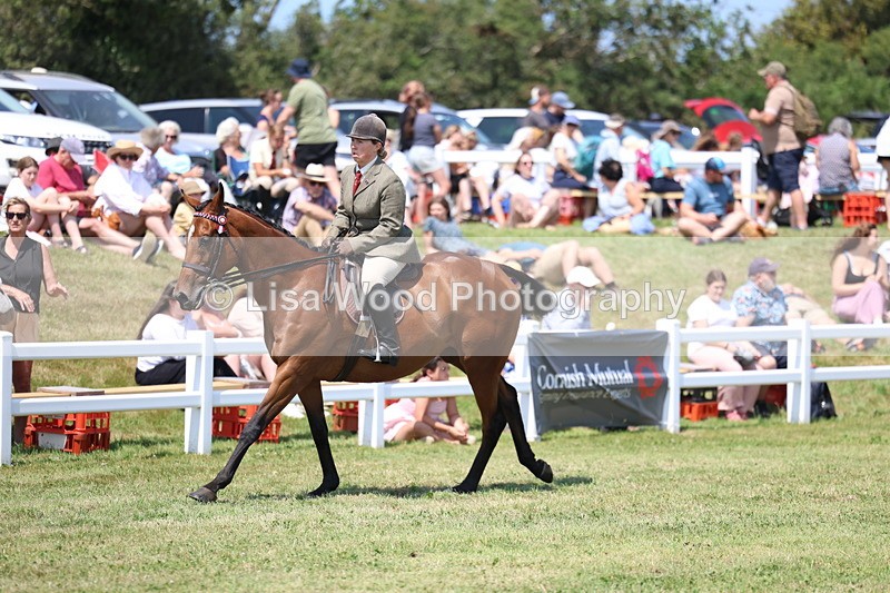 3E7A9350 - Class 12: Open Racehorse to Show Horse
