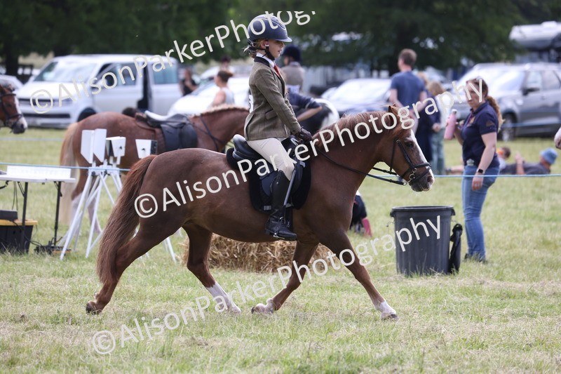20260614-2089 - Class 21 - Novice Working Hunter Pony