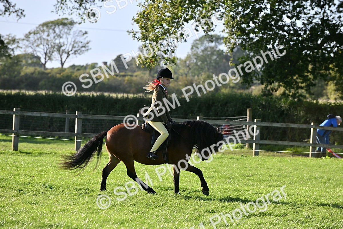 SBM_53022 - S23 - First Ridden Mountain & Moorland Pony