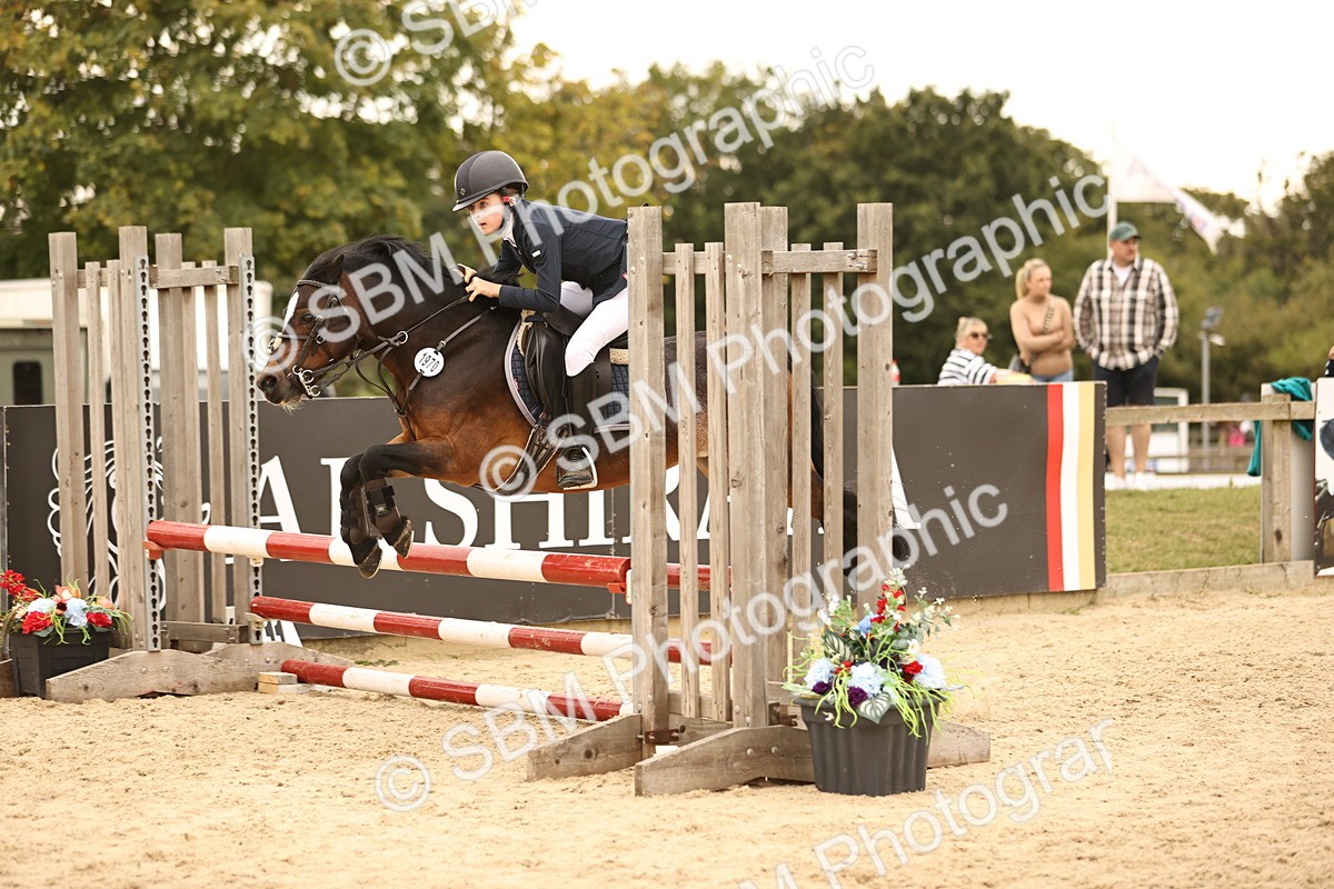 SBM_74224 - J14 - Junior Pony 65cm Championship
