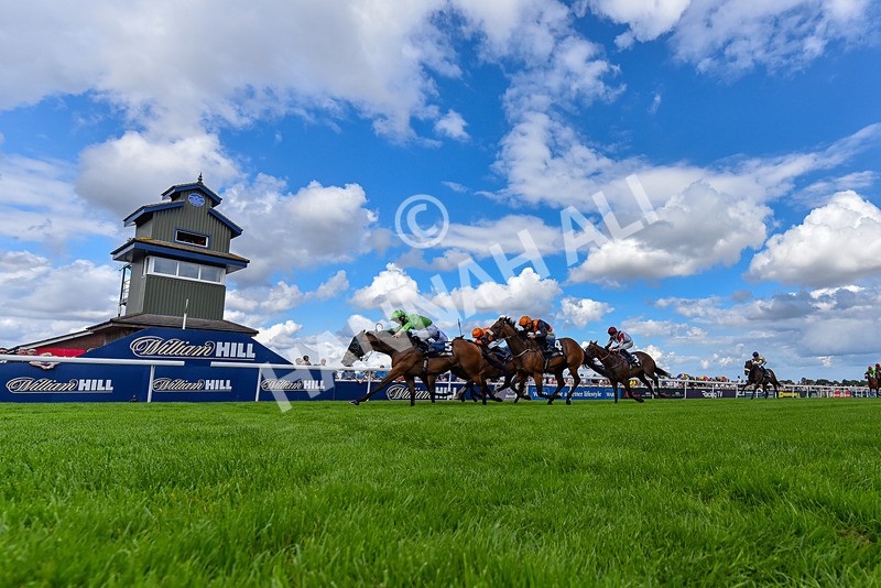300826-Race 2-Jm Jungle-6563 - Race 2 2.15pm William Hill Beverley Bullet Sprint Stakes