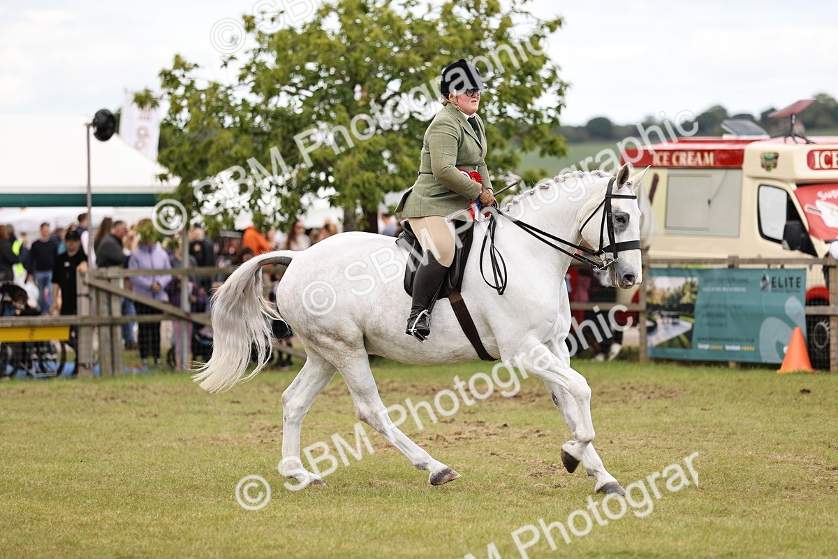 SBM_14828 - Class 88-89 - LIHS BSHA Rising Star of Ridden Hunter Type