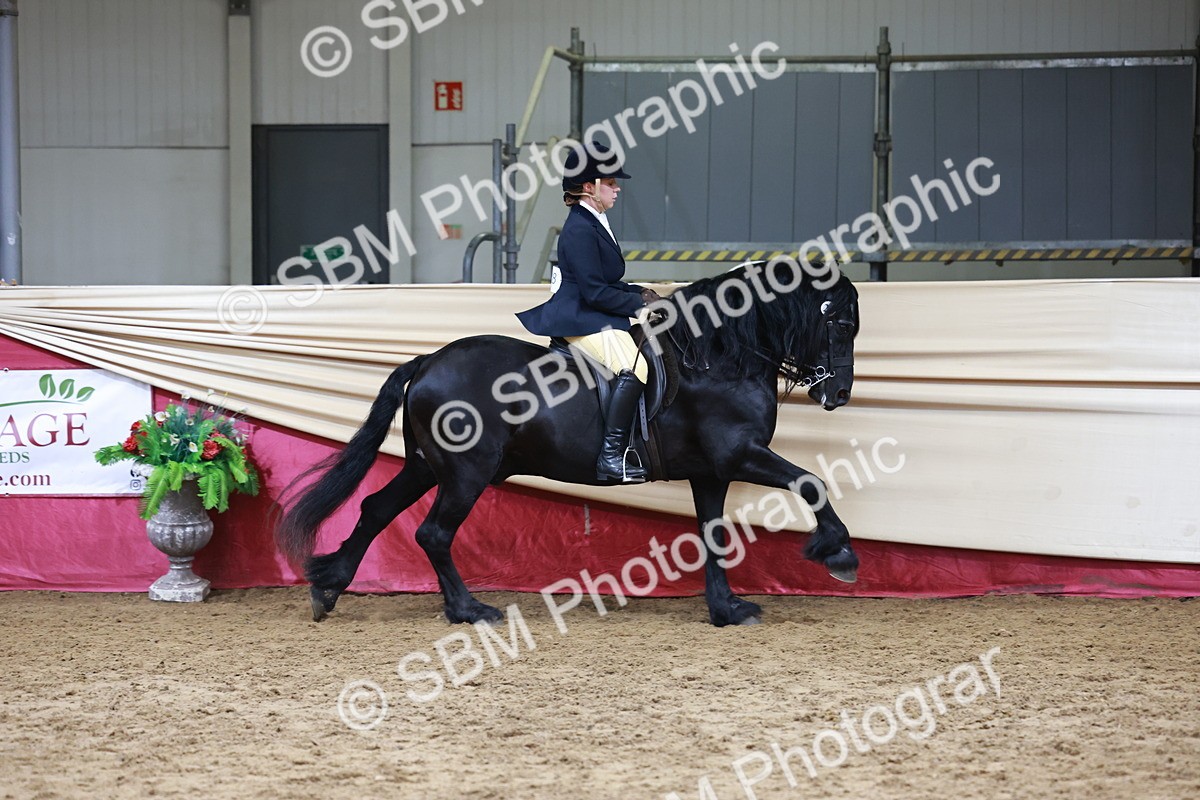 SBM_18730 - Class 952 - M&M Ridden Supreme Final