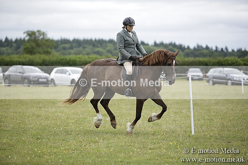 BVR160717-1338 - Ring 1 BVRC Show 16/07/17