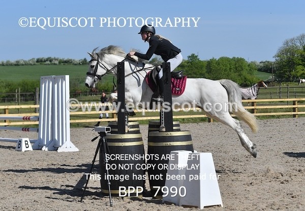 BPP_7990 - CLASS 2 Club/ Unaffiliated 80cms Open