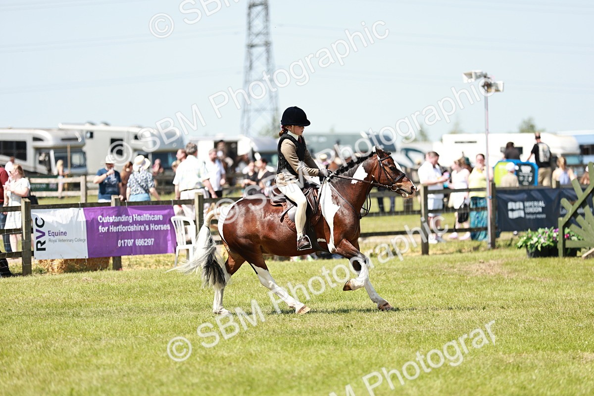 SBM_15479 - Class 108-109 - BSPS LIHS Open Gradle & Nursery Stakes